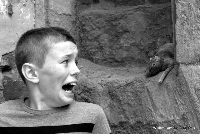 12 year old Jamie & the William David shoot mascot "ratty" - Jamie has outstanding support from his mother in his ambitions.
